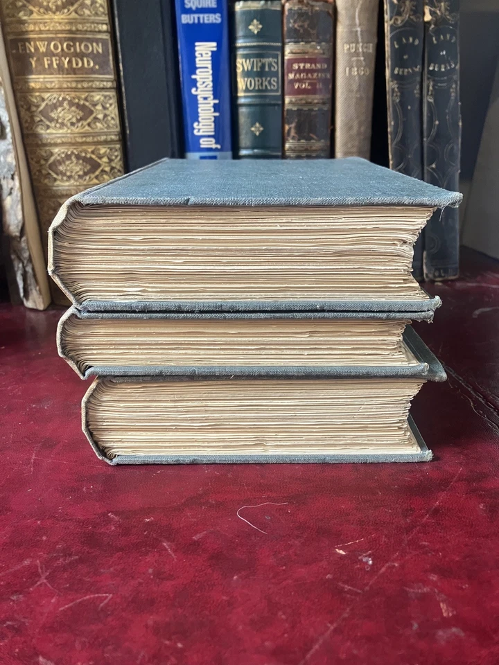 The Anatomy of Melancholy Robert Burton 1893 6th Ed Medical History Psychiatry - Image 4 of 4