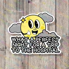 Nurse Healthcare Medical EMS Paramedic Vinyl Laptop Water Bottle Sticker Decal