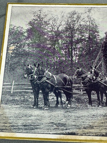 C.1900 Fotokarte 4 Pferd HOLZWAGEN, Dutzende von Brettern, Mann auf Brettern! - Bild 2 von 5