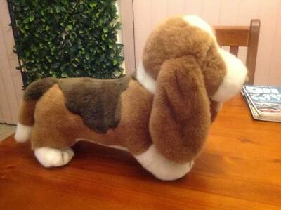 gumtree basset hound