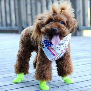 poodle rain boots
