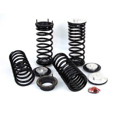 Fahrwerkssatz Federn Arnott C-2227 für P38A RANGE LANDROVER ROVER 2 4x4
