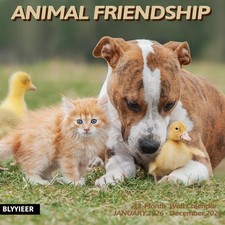 2026 Wall Calendar,Calendar 2026,Animal friendship Monthly Animal