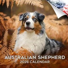 Australian Shepherd Dog Breed Calendar 2026 FULL SIZE 12x24 Made in USA