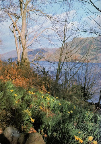 William Wordsworth - Picture 2 of 2