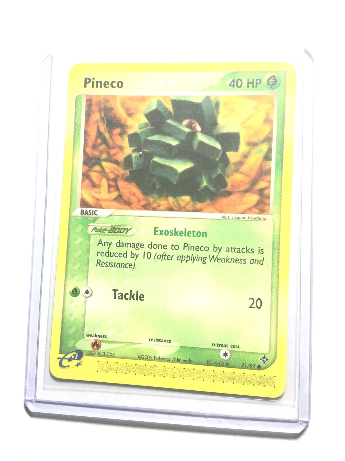 PINECO - 71/97 - EX Dragon - Common - Pokemon Card - NM