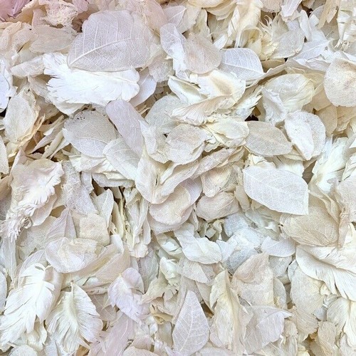 Biodegradable Personalised White Confetti CONES + Dried Petal Wedding CONFETTI - Picture 17 of 21