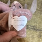Ty Beanie Babies Batty Pink Bat Plush Beanbag 1996 Vintage Retired w/ Hang Tag — photo 6