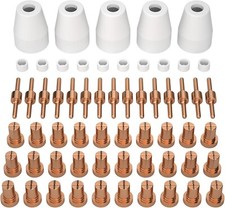 RIVERWELD 60pcs ESAB L-TEC PT-31 JG-40 WSD-LG40 Plasma Electrode Copper