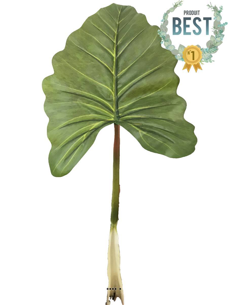 Feuille d'Alocasia artificielle haut de gamme Songe Caraïbe 91cm