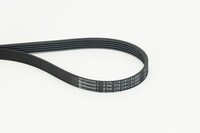 Continental Ctam Keilrippenriemen 5PK775 Elast FüR Ford