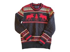 Kids Holiday Sweater            Ralph Lauren Reindeer Sweater