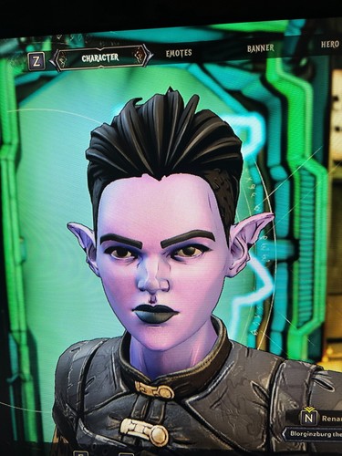 PS/XBOX/PC Tiny Tina's Wonderlands TODOS LOS ACCESORIOS DE CABEZA COSMÉTICOS ENGRANAJES SKINS DLC - Imagen 13 de 55