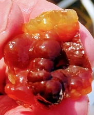 Vintage 1970s Deer Creek Arizona Fire Agate Rough 15.9 Ounces