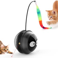 Cat Toys for Indoor Cats, Innovative Interactive Toy Ball with Bird Black