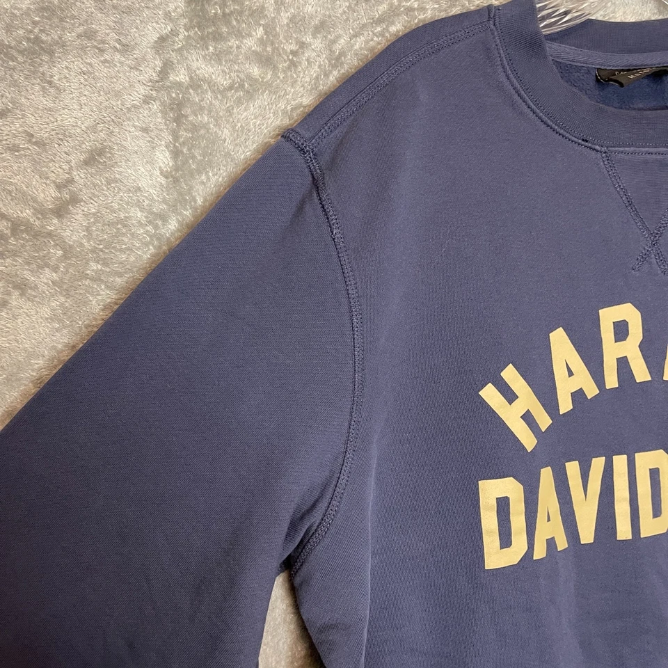 Harley Davidson Men Motorcycle Heavyweight Crew Neck Cotton Regular Sweatshirt L - Image 3 of 4