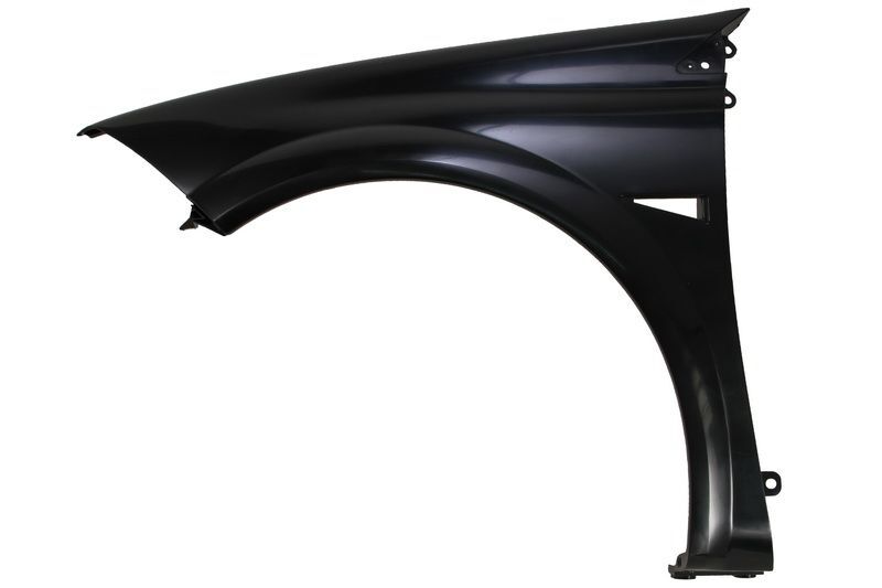 Front Left Fender Fits: RENAULT MEGANE II 11.02-12.09