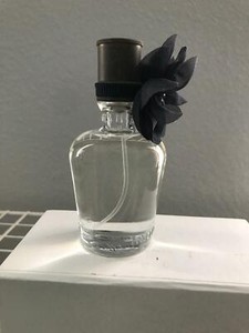 hollister addison perfume