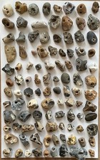 100 Natural Hag stones