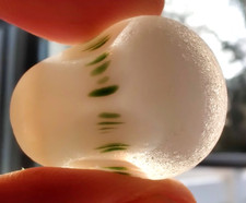 Flawless Green Opalescent Layered Mushroom Multi Davenport Beach Sea Glass