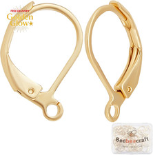 50Pcs/Box Leverback Earring Findings 24K Gold Plated Stainless Steel French Earr