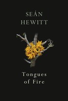 Tongues Of Fire | SeáN Hewitt | Taschenbuch | Kartoniert / Broschiert | Englisch