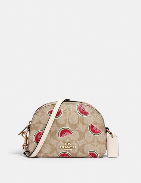 watermelon coach backpack