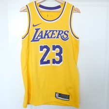 Nike Los Angeles Lakers Lebron James Nike Icon Swingman Jersey Size M 44 