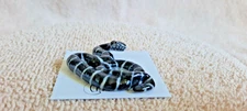 LITTLE CRITTERZ King Snake "King" Miniature Figurine New FREE SHIPPING LC310