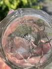 Bild 10 von 15