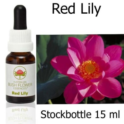 RED LILY Australian Bush Flower Essences Australische Buschblüten