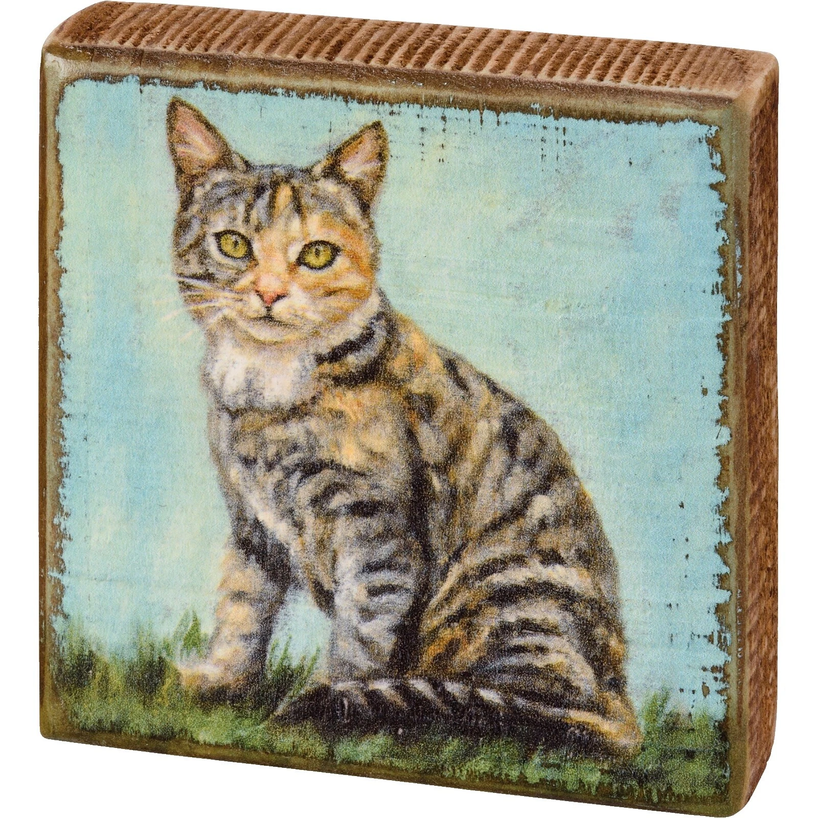 Cats Square Home Décor Plaques & Signs
