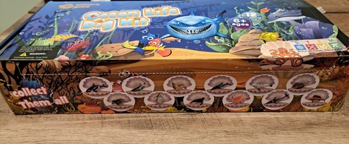 Ocean Animals Dig Kit, Seashell Archaeology Dig For Fossils Excavation ...