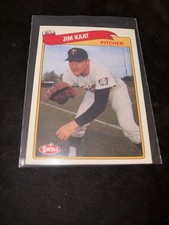 1989 Swell Baseball Greats - Jim Kaat #88