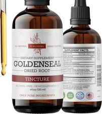 Goldenseal Tincture | Premium Alcohol-Free Herbal Extract 4 Fl Oz (Pack of 1) 