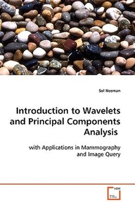 Introduction to Wavelets and Principal Components Analysis, Paperback by Neem...