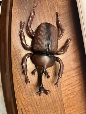Rhinoceros KIng Horned Beetle Bug Insect Greenbrier 6