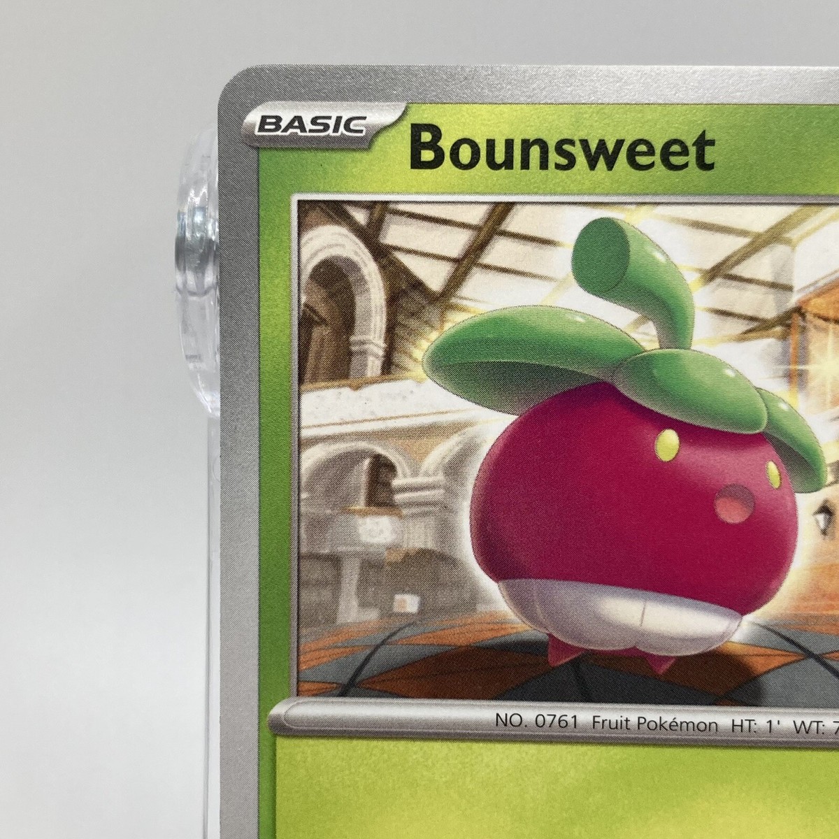Bounsweet Non-Holo Common 008/182 Pokémon TCG Paradox Rift Bounsweet Non-Holo Common 008/182 Pokémon TCG Paradox Rift