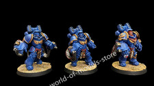 Warhammer 40K painted Primaris Aggressors Space Marines Miniature model Presale