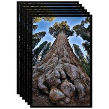 12x18 Picture Frame Black Photo Frames Display for Wall, Set of 6