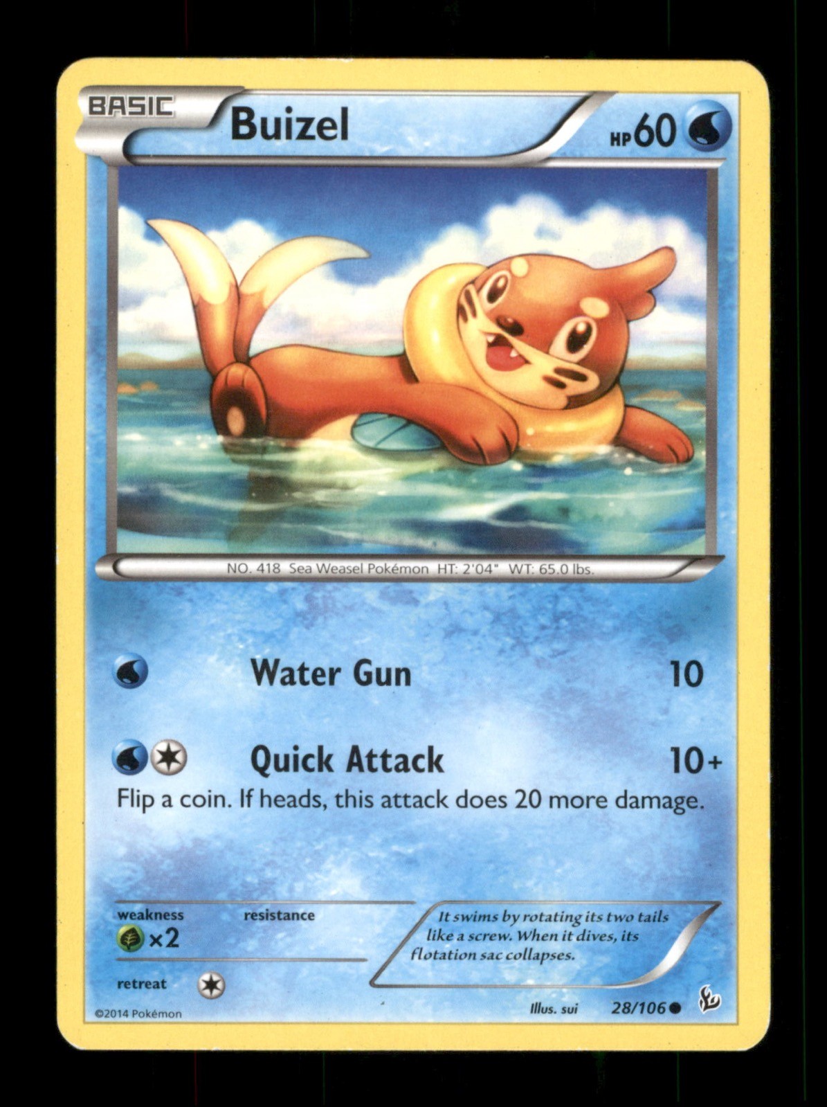 Buizel 28/106 Non-Holo Nintendo  Pokemon Trading Card TCG 