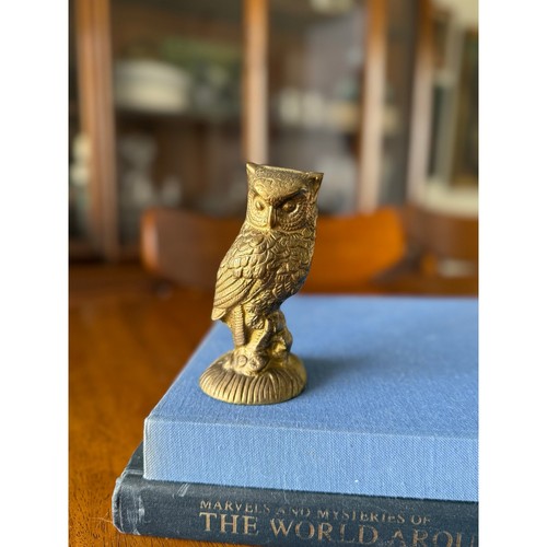 Vintage Brass Owl Paperweight | Mid Century Bird Figurine | Brass Animal Decor