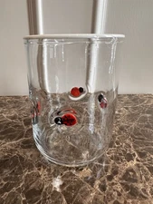 Anthropologie Ladybug Icon Drink Glass Juice Glass New