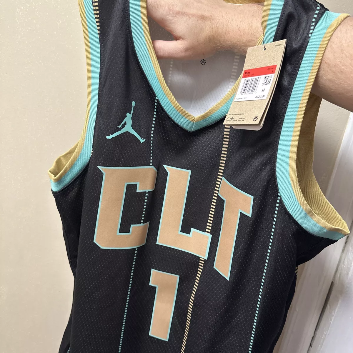 Lamelo Ball Charlotte Hornets City Edition Jordan Dri-FIT NBA Swingman  Jersey.