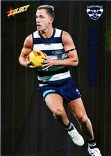 2022 GEELONG CATS AFL Premiers Card JOEL SELWOOD Footy Stars Prestige