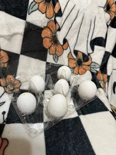 Zombie Hatching Eggs 8+ Ayam Cemani X White Leghorn