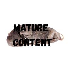 Lamb fetus Wet Specimen oddities curiosities preserved collectible  display gift