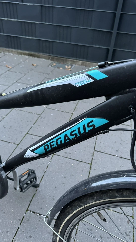 Kinderfahrrad Pegasus Türkis/Schwarz - Bild 3 von 4