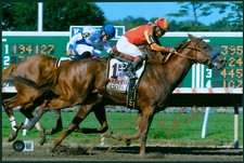 MARTIN GARCIA BOB BAFFERT Signed 8x12 Photo COIL Haskell Invitational Winner BAS