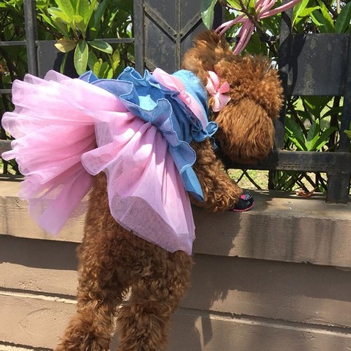 Puppy Dog Clothes Female Dog Cat Dress Spring Summer Princess Dress Bowknot Pet - Picture 3 of 26